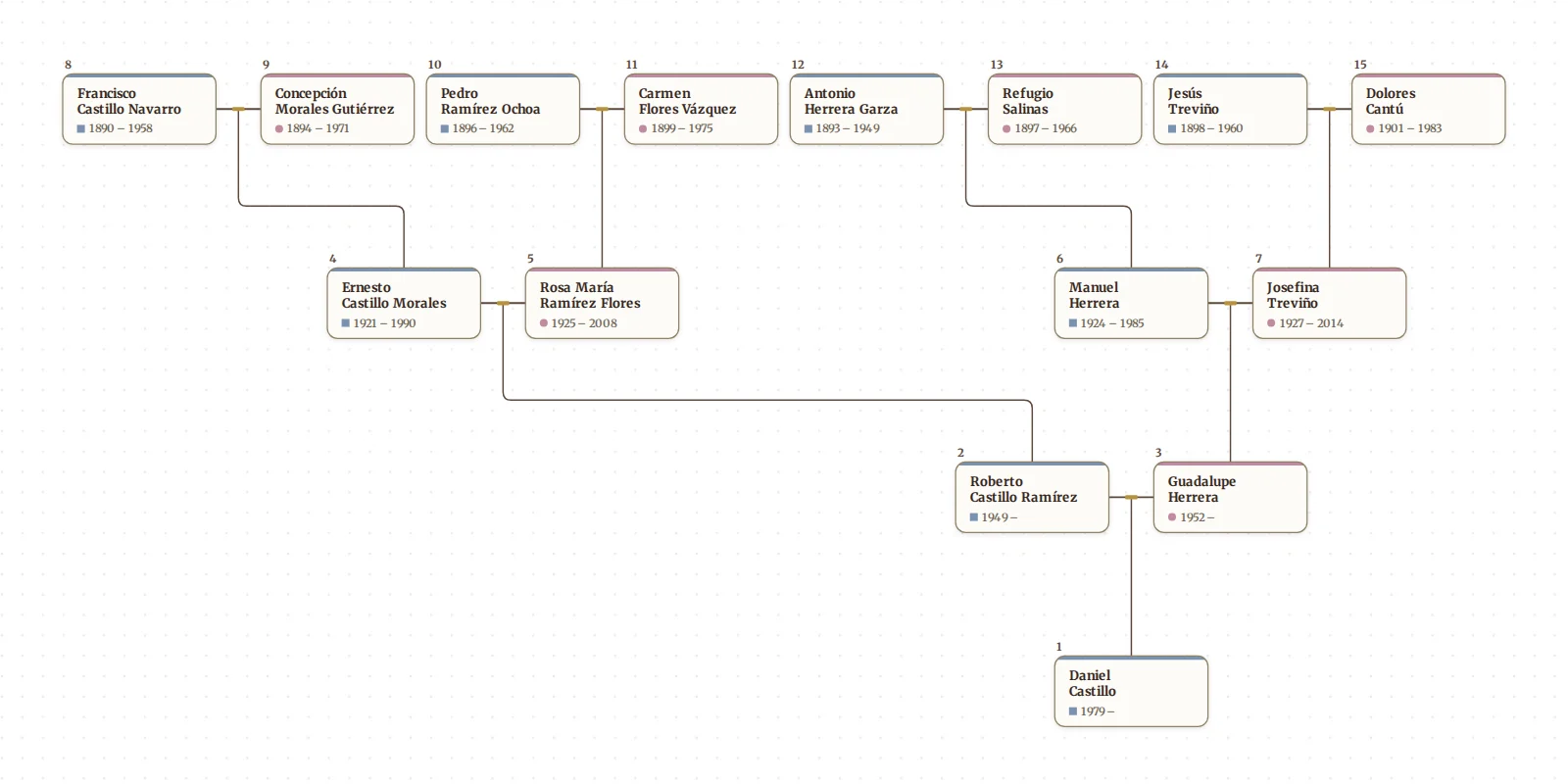 A four-generation numbered pedigree chart of the Castillo family